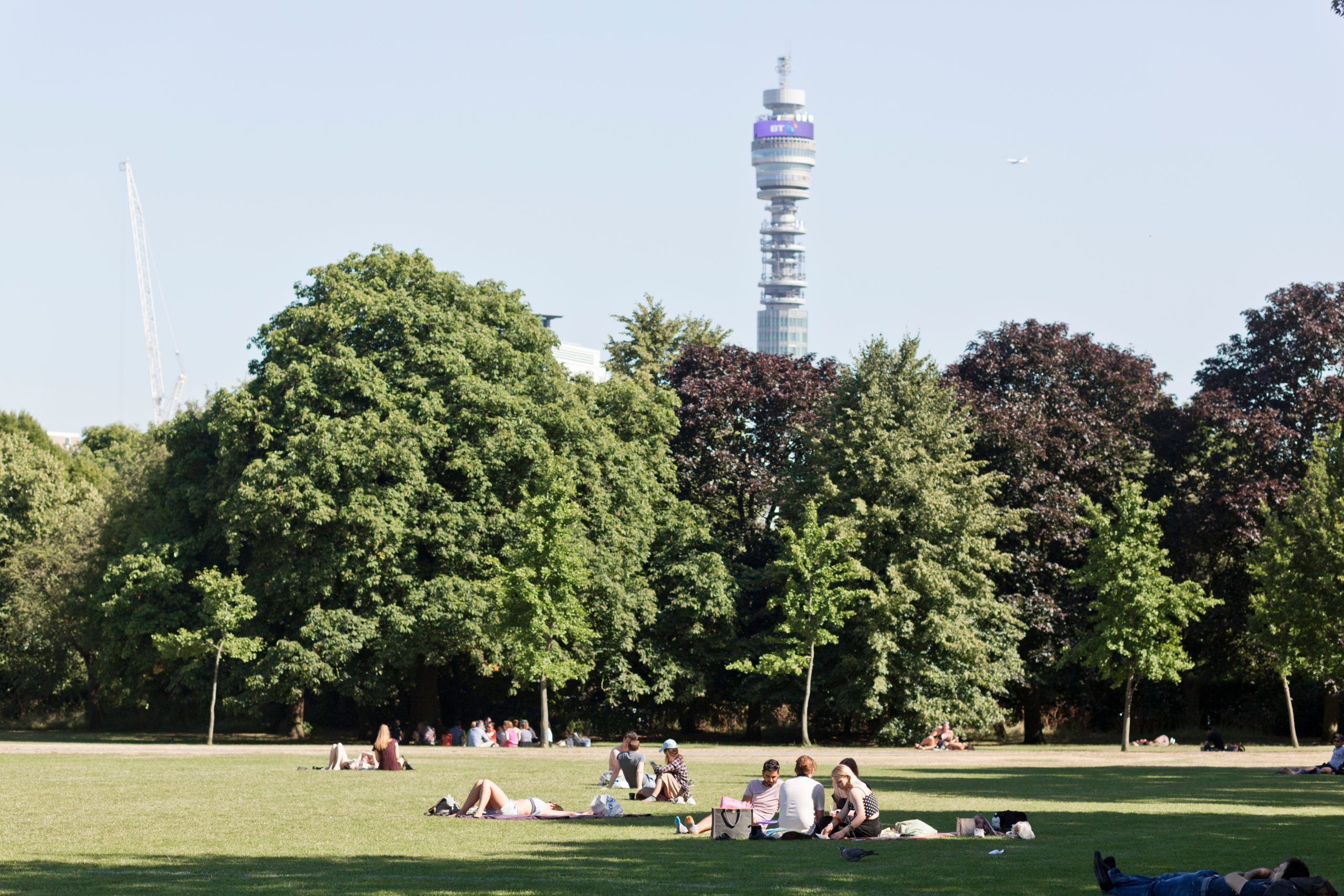 image of people sat on field